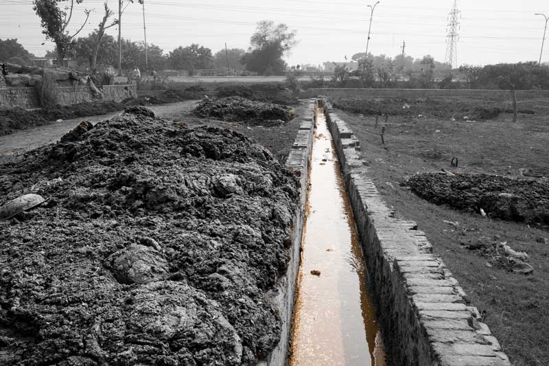 A local drain carrying untreated wastewater from a dairy farm into Najafgarh drain, finally emptying into river Yamuna - drain in South-West district, National Capital Territory of Delhi